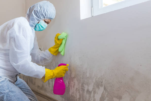 Best Industrial Mold Remediation  in Lodi, CA